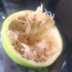 Meet your Posher, Eden